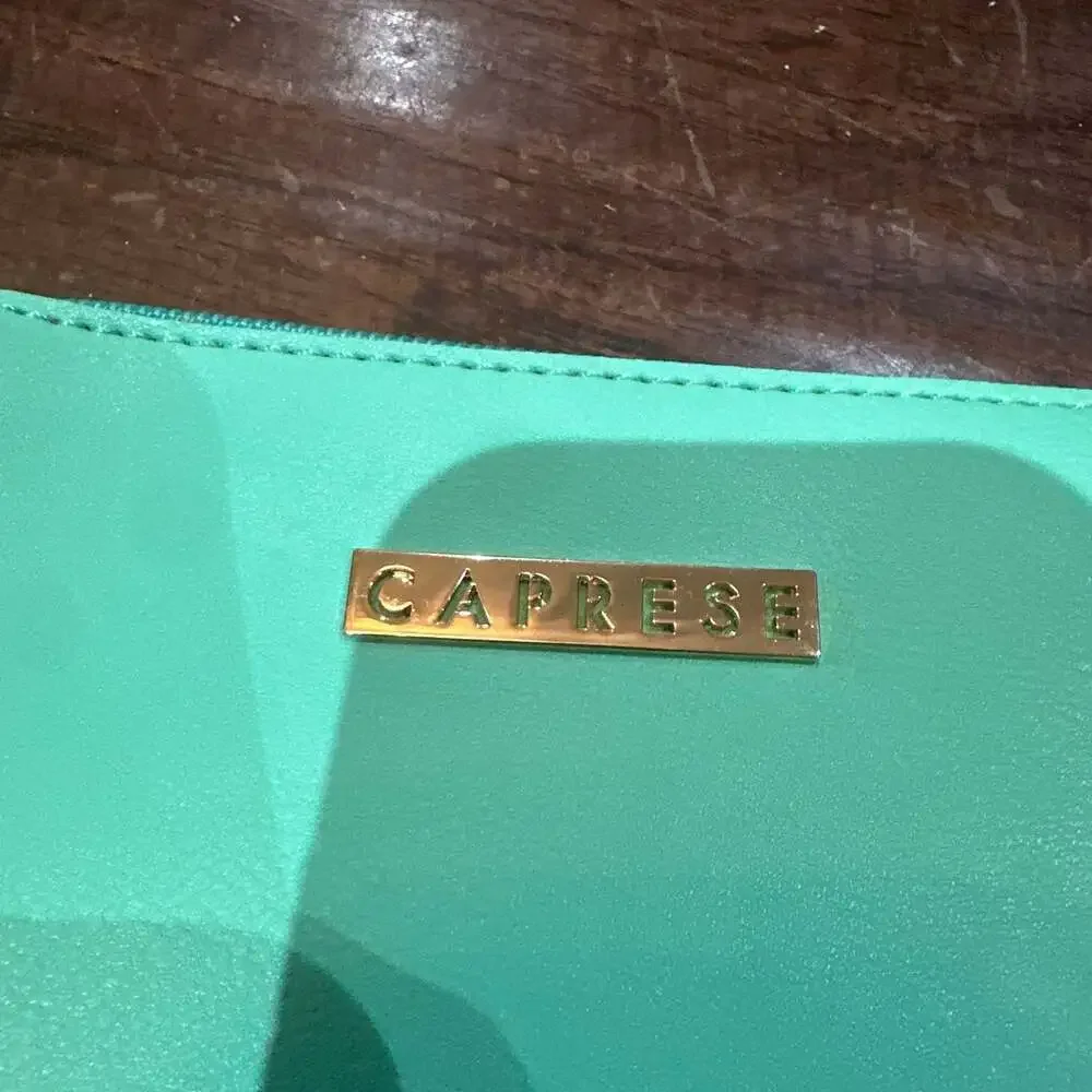 Caprese Teal and Yellow Crossbody Bag,‎ Faux Leather Small Purse